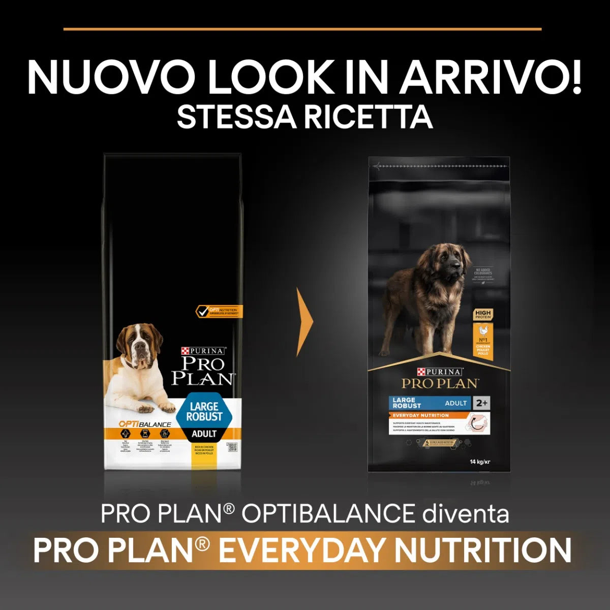 Purina Pro Plan Everyday Nutrition Large Robust Adult ricco in pollo - secco cane