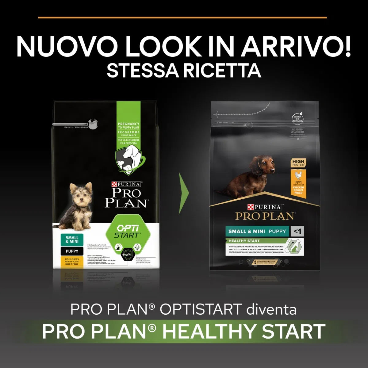 Purina Pro Plan Healthy Start Small e Mini Puppy ricco in pollo - secco cane
