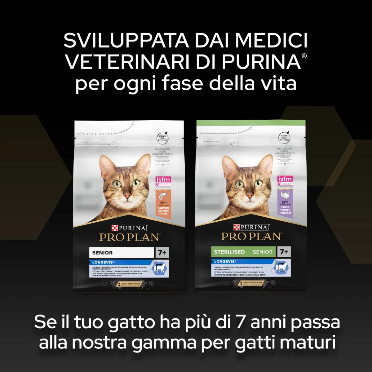 Purina Pro Plan Renal Plus Sterilised Adult 1+ con Salmone - secco gatto
