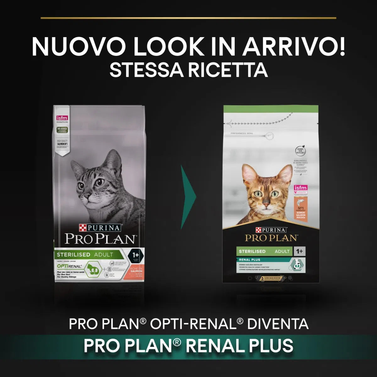 Purina Pro Plan Renal Plus Sterilised Adult 1+ con Salmone - secco gatto