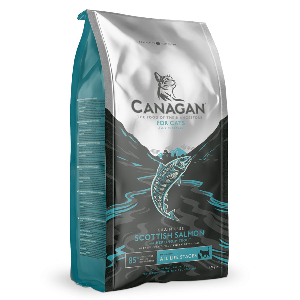 Canagan Scottish Salmon Gatto