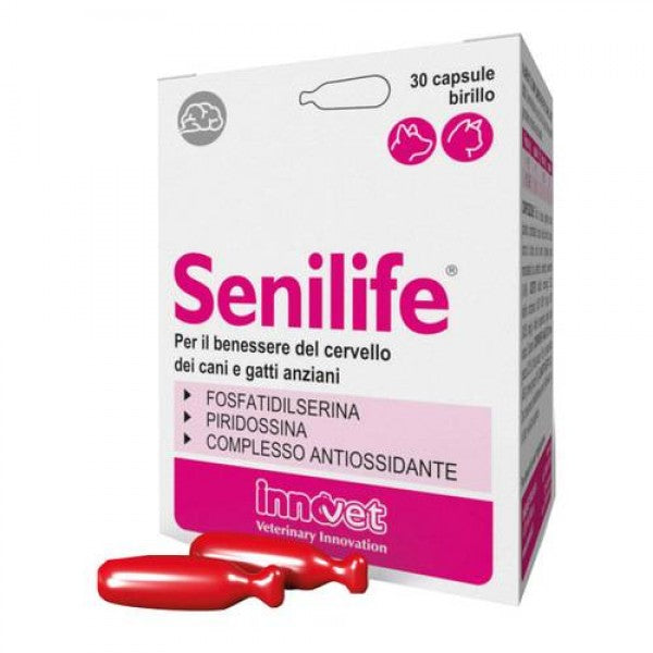 Senilife Plus 30 Capsule