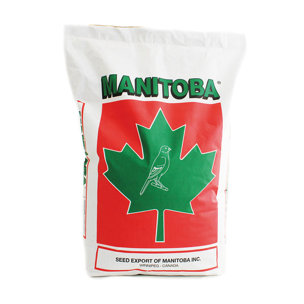 Manitoba Cocorite  Extra